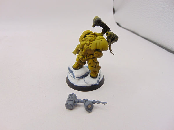 Einhyr Hearthguard