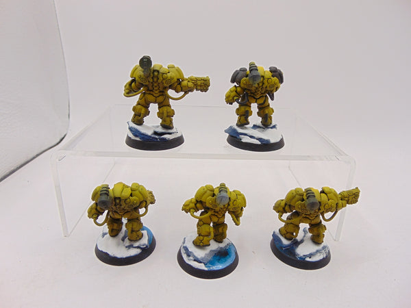 Einhyr Hearthguard