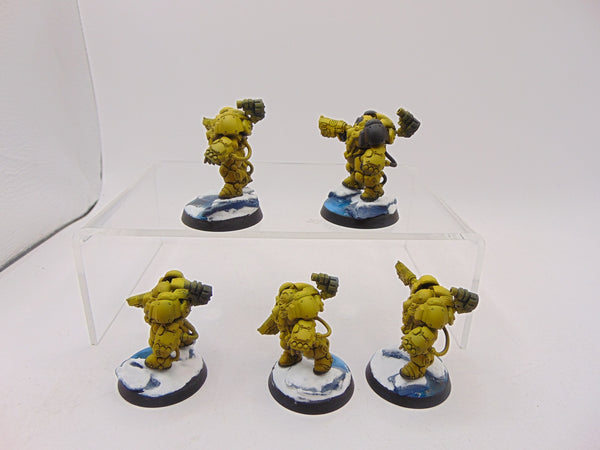 Einhyr Hearthguard