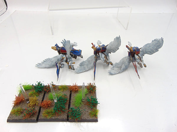 Pegasus Knights