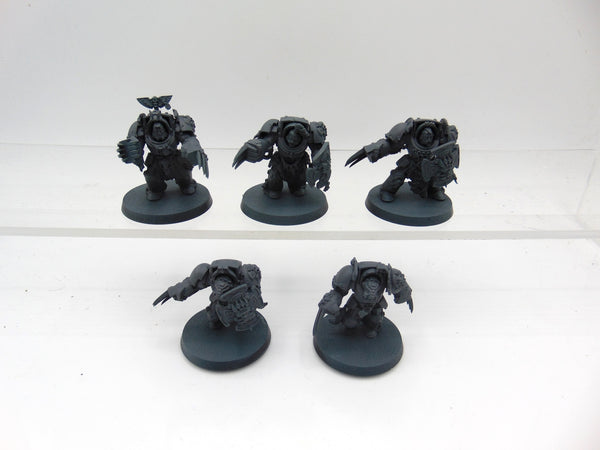 Wolf Guard Terminators