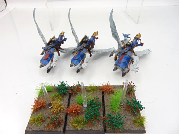 Pegasus Knights