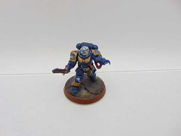 Primaris Librarian Conversion