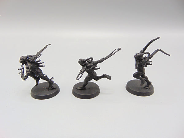 Arco Flagellants