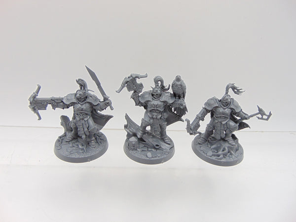 The Farstriders