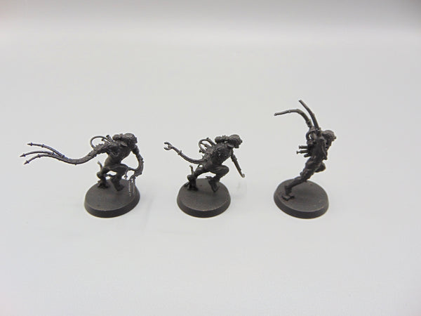 Arco Flagellants