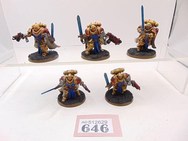 Primaris Sword Brethren