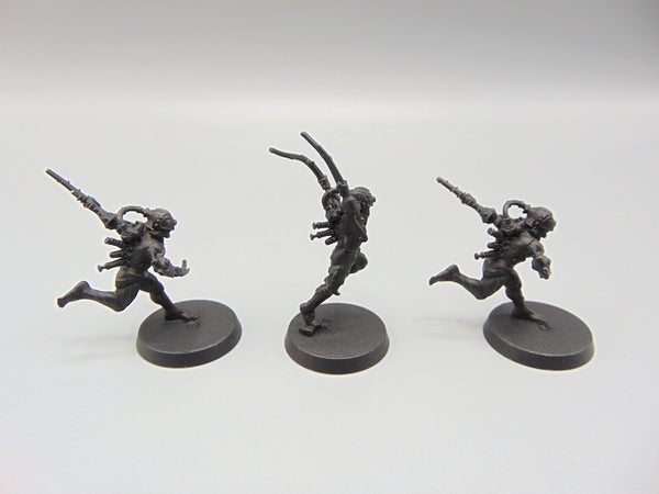 Arco Flagellants