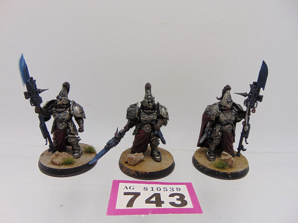 Custodian Wardens