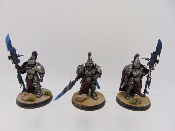 Custodian Wardens