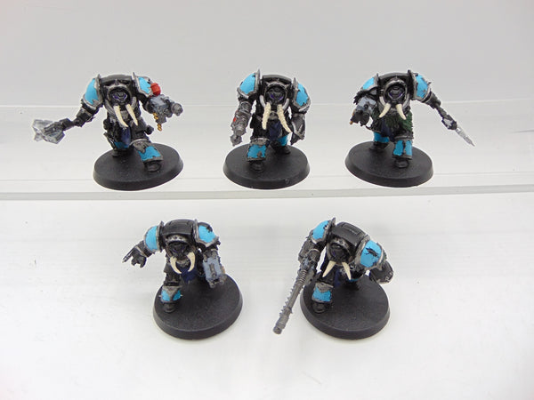 Chaos Terminators