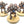 Thallax Cohort