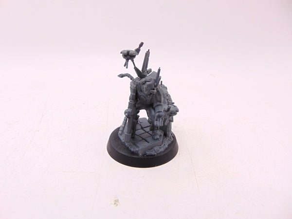 Darkstrider