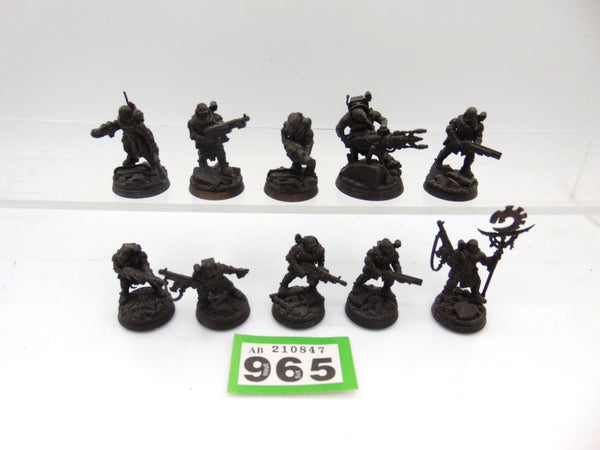 Neophyte Hybrids