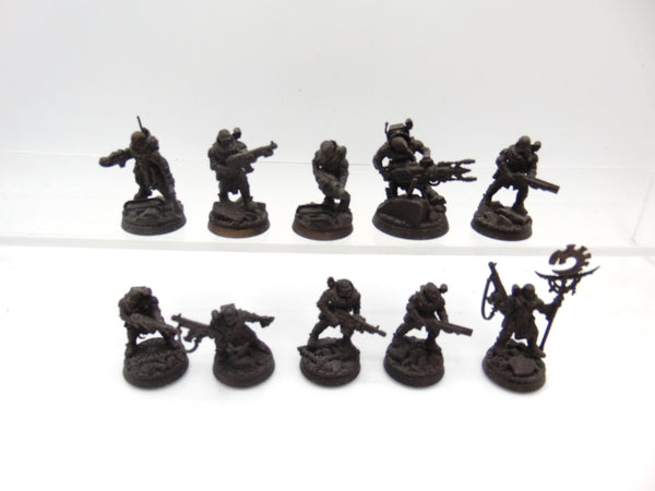 Neophyte Hybrids