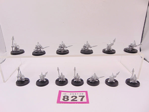 Night Goblins / Spearmen