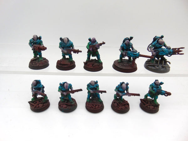 Neophyte Hybrids