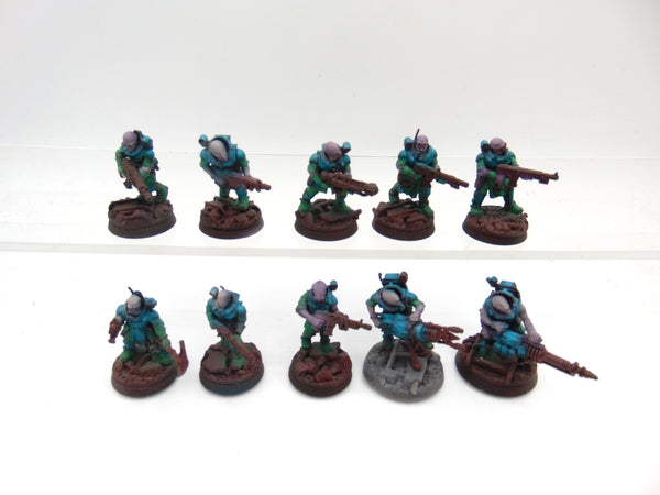 Neophyte Hybrids