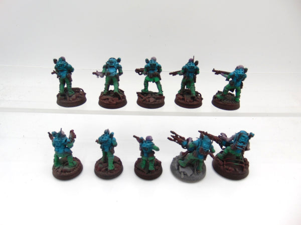 Neophyte Hybrids