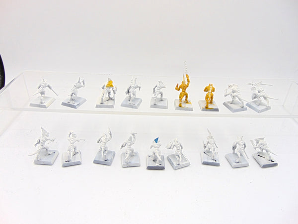 Skinks
