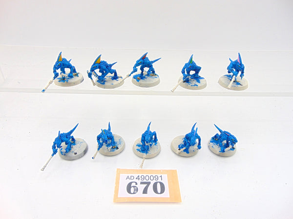 Skinks