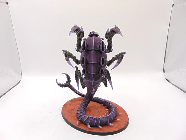 Trygon