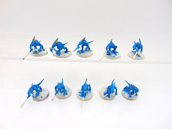 Skinks