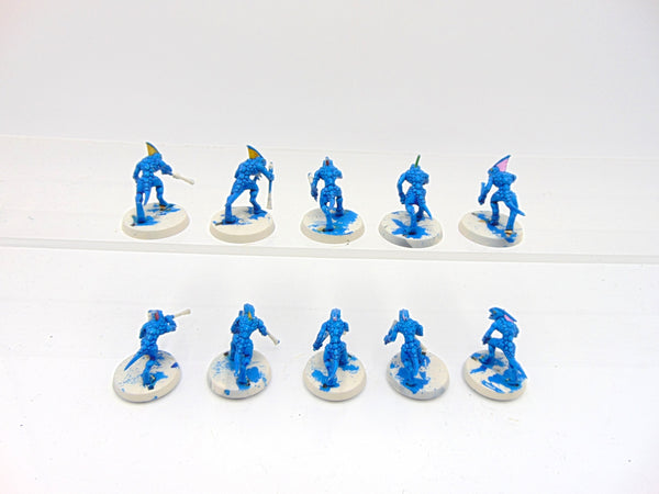 Skinks