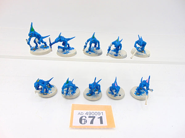 Skinks