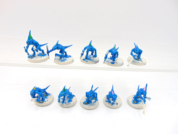Skinks