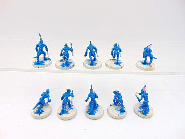 Skinks