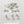Biovore