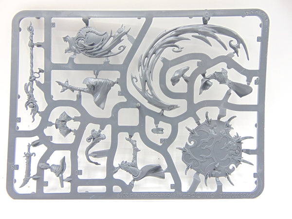Magister on Disc of Tzeentch