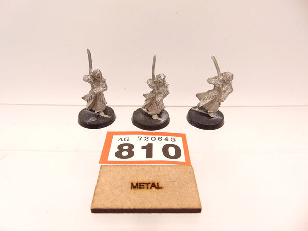 Haldir's Elves with Sword