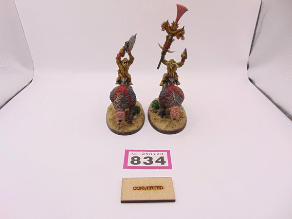 Savage Orruk Beastriders