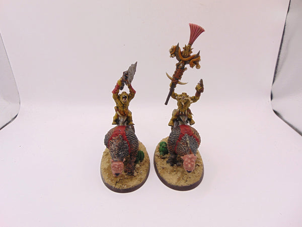 Savage Orruk Beastriders