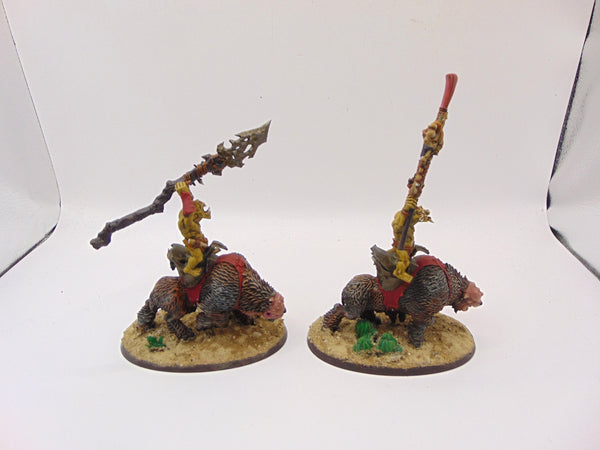 Savage Orruk Beastriders