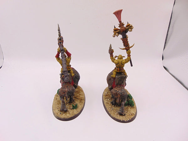 Savage Orruk Beastriders