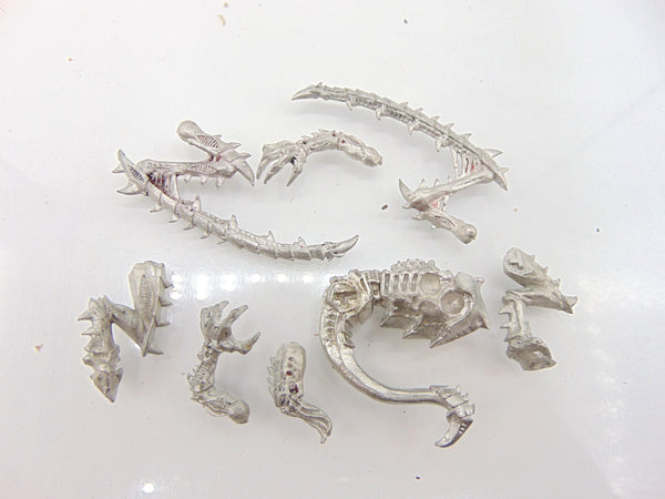 Lictor