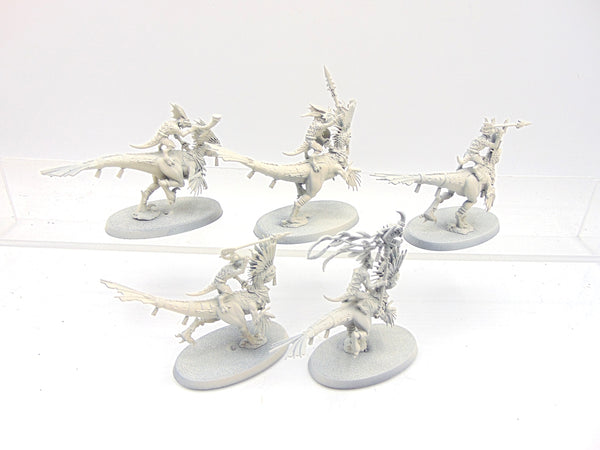 Raptadon Hunters