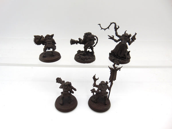 Acolyte Hybrids