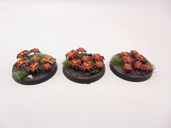 Canoptek Scarab Swarm