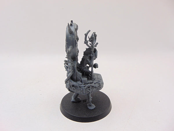 Skink Starseer