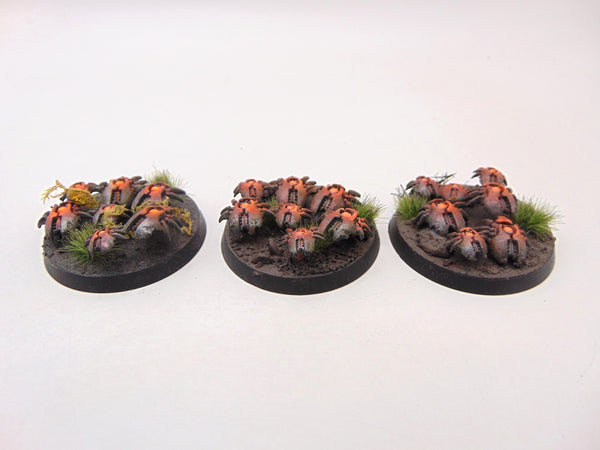Canoptek Scarab Swarm