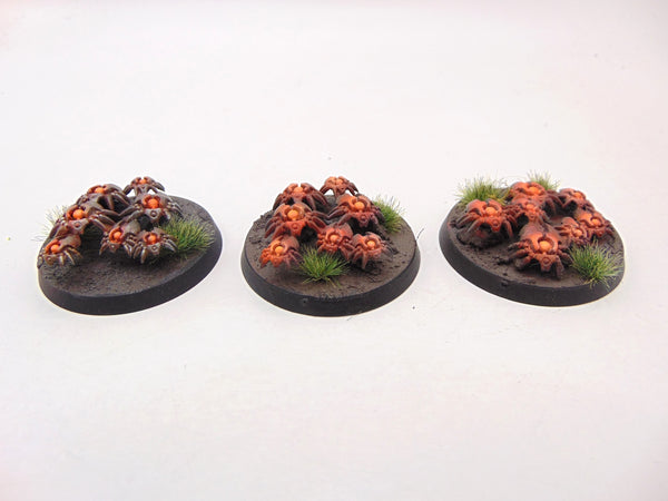 Canoptek Scarab Swarm