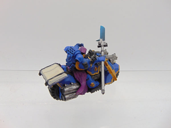 Converted Librarian on Bike