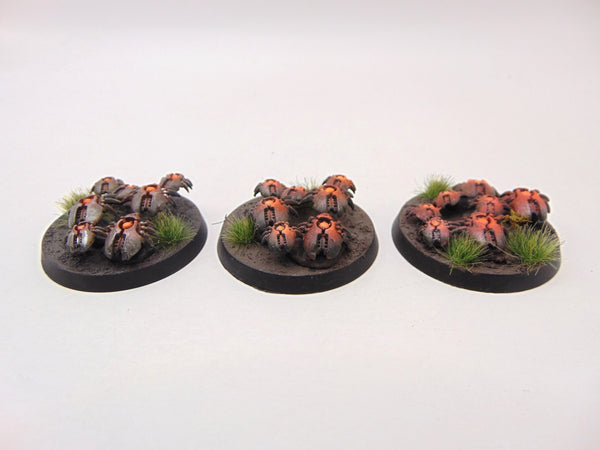 Canoptek Scarab Swarm