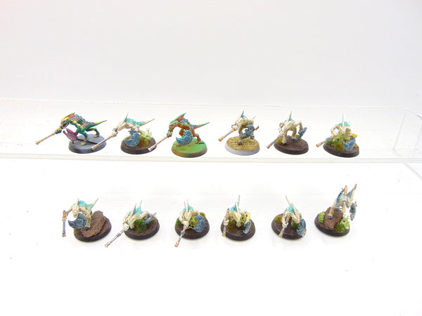 Skinks
