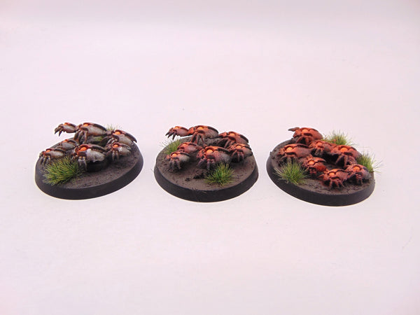 Canoptek Scarab Swarm