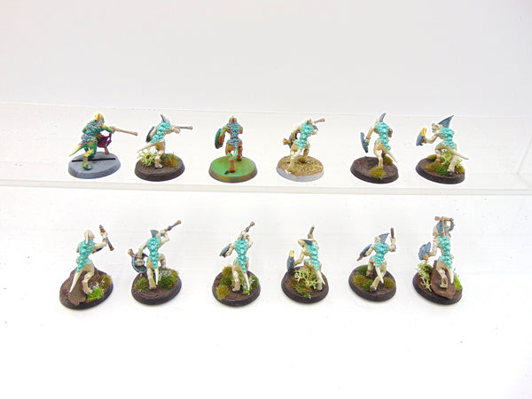 Skinks